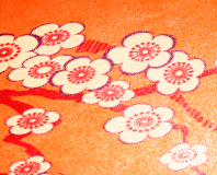Teppichdessin Kirschblüten